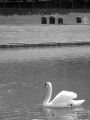IMG_0642.jpg