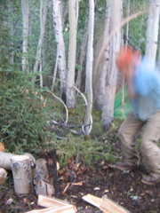 IMG_3741.JPG
