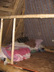 IMG_3784.JPG