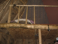 IMG_3787.JPG