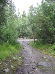 IMG_3807.JPG