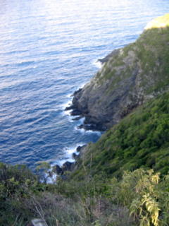 IMG_5093.JPG