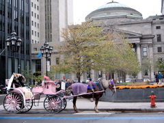 IMG_1657.JPG