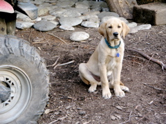 IMG_6875.JPG