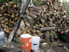 IMG_6890.JPG
