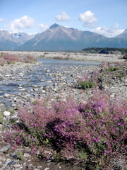 IMG_6868.JPG