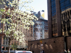 IMG_2747.JPG