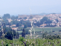 IMG_2947.JPG