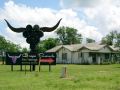 17nowhereoklahoma-bull.jpg
