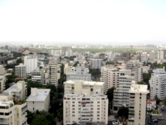 IMG_4879.JPG