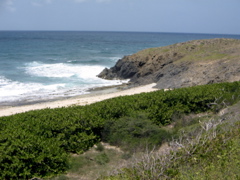 IMG_4906.JPG