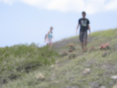 IMG_4908.JPG