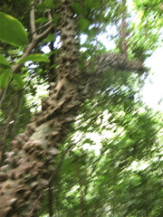 IMG_4255.JPG