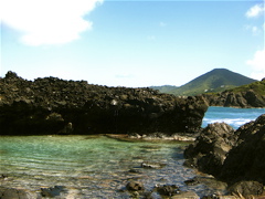 IMG_4264.JPG
