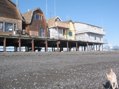 IMG_3389.JPG
