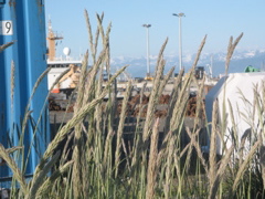 IMG_3397.JPG