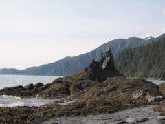 IMG_3454.JPG