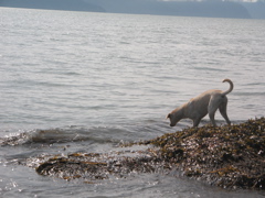 IMG_3467.JPG