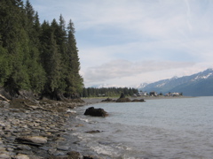 IMG_3474.JPG