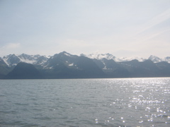 IMG_3471.JPG