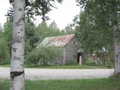 IMG_3487.JPG