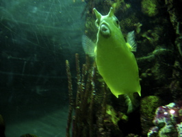 IMG_5445.JPG