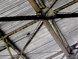 IMG_5634.JPG