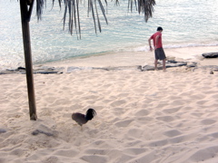 IMG_5155.JPG
