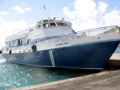 IMG_5202.JPG