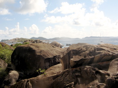 IMG_5135.JPG