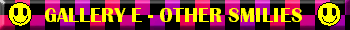 Gallery E - The Other Smilies