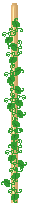 vine1.gif