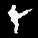 Click here to read about the Moo Duk Kwan History