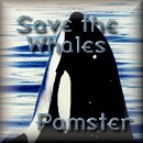 Save The Whales