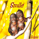 Thank You Susie