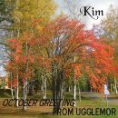 Thank you Ugglemor