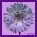 Thank You Berkanna