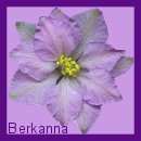 Thank You Berkanna