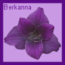 Thank You Berkanna