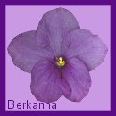 Thank You Berkanna