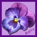 Thank You Marre