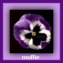 Thank You Muffie