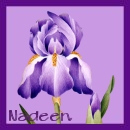 Thank You Nadeen