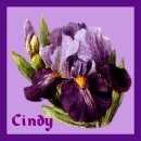 Thank You Cindy