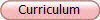 Curriculum