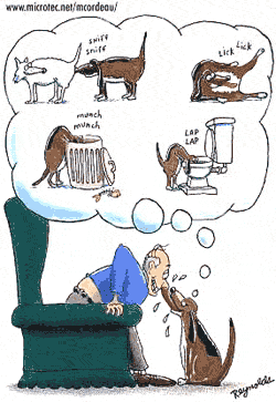 dog lick