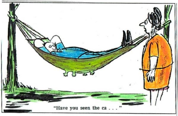 Where's the cat?�