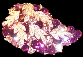 Sphinx Paisley-shape amethyst theme brooch