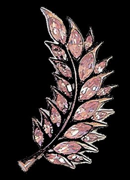 Sphinx Flame leaf-sprig