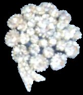 Sphinx crystal ROSETTE flower brooch